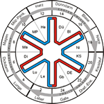 Akupunkt Massage Energiestern